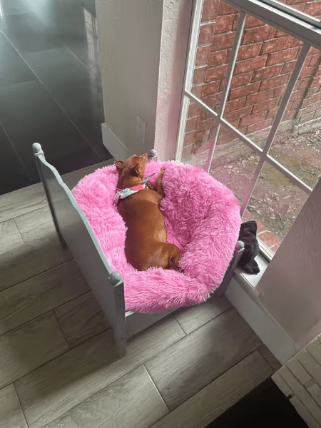soft comfort pet bed