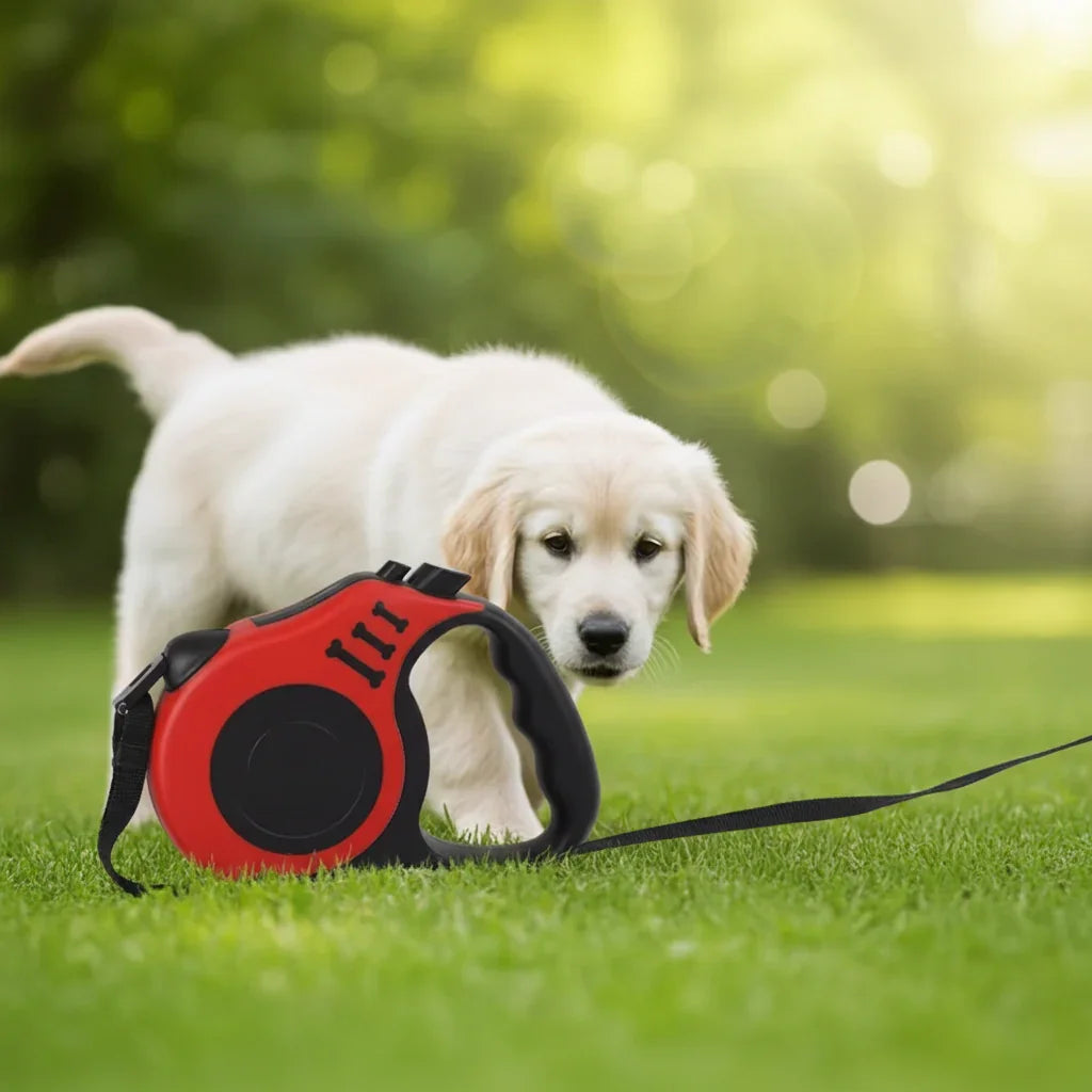Automatic Retractable Dog Leash - SHIMIS