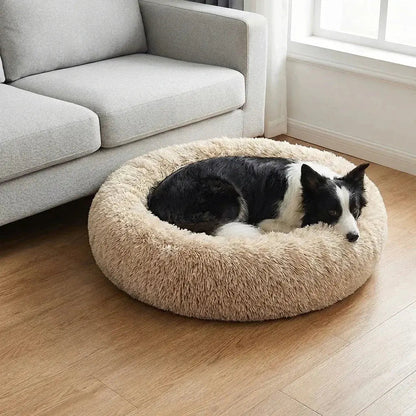 SHIMIS Calming Sofa Saver Bed - SHIMIS